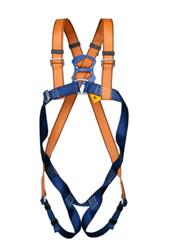 Standard Harness